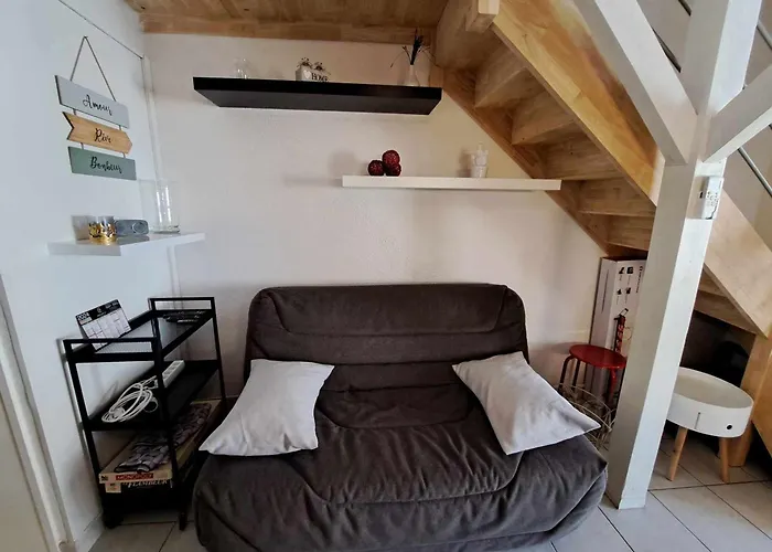 Maison Mitoyenne Climatisée Avec Piscine, Grande Terrasse, Proche à - Fr-1-326-809