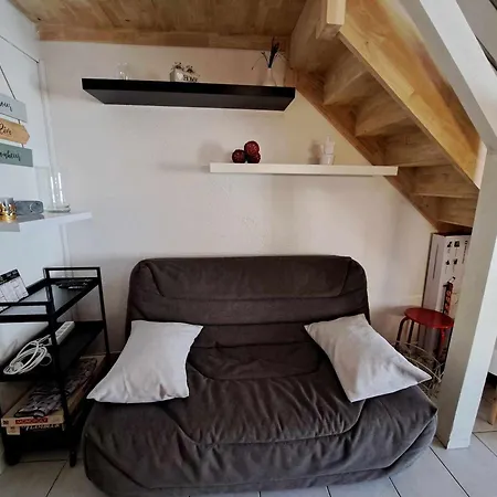 Maison Mitoyenne Climatisee Avec Piscine, Grande Terrasse, Proche A - Fr-1-326-809
